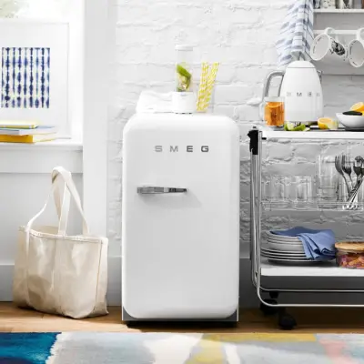 Best Investment Mini Refrigerator