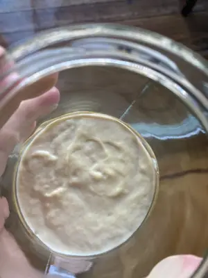Sourdough Starter Day 7