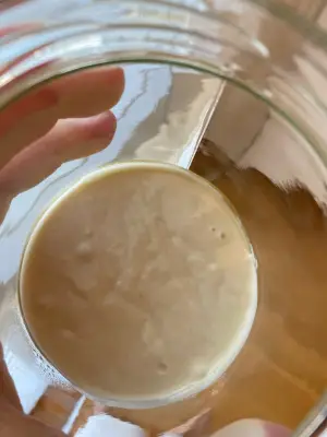 Sourdough Starter Day 9
