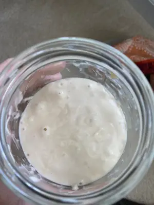 Sourdough Starter Day 11