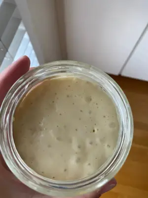 Sourdough Starter Day 14