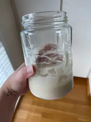 Sourdough Starter Day 1