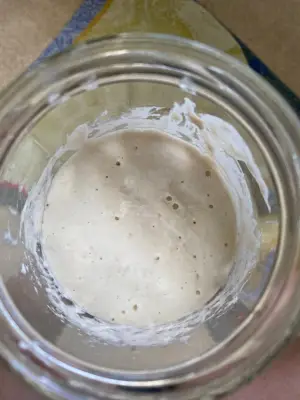 Sourdough Starter Day 2