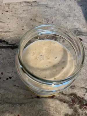 Sourdough Starter Day 3