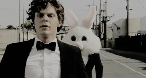 When You Had No Idea What Was Happening Here and Didn