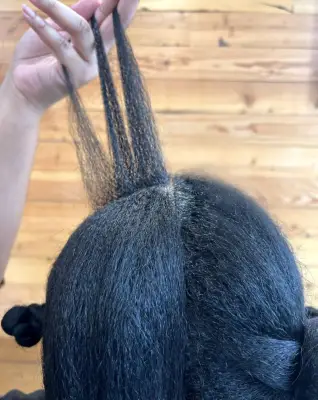 Step 2: Separate Hair Into 3 Sections
