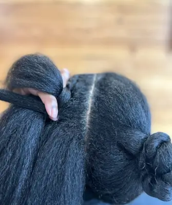 Step 4: Begin the Braid