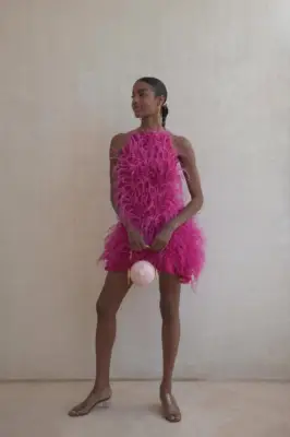 Pink Feather Dress, Metallic Rose Shoes