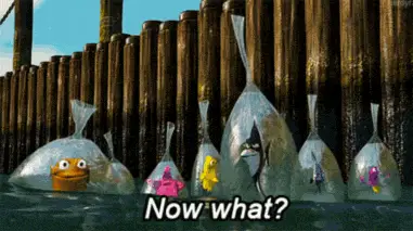 When You Finish Binge-Watching a Series and Don