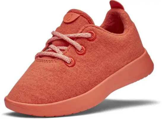 Allbirds Smallbirds Wool Runners