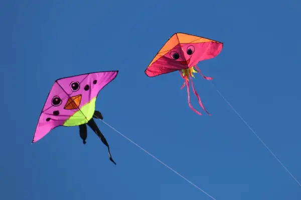 Fly a kite.