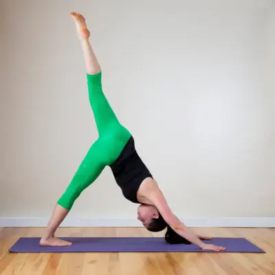 Three-Legged Downward Facing Dog Pose