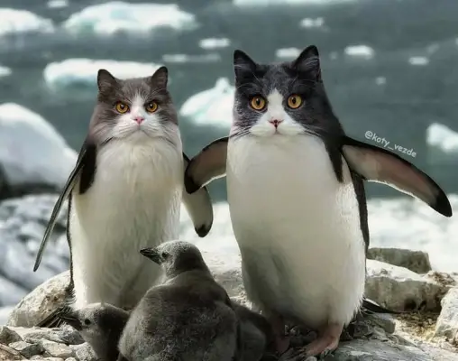 Penguins With Cats