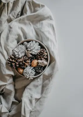 iPhone Christmas Wallpaper: Holiday Pine Cone