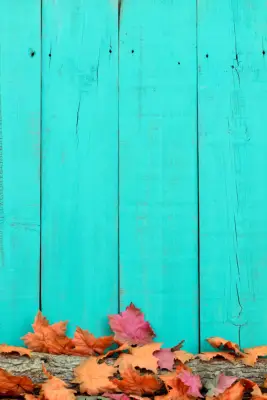 Fall Background: Blue Wood and Leaves iPhone Wallpaper
