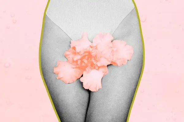 Vajacial Editor Experiment