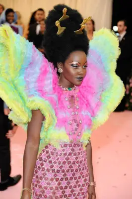 Lupita Nyong’o’s Afro With Picks in 2019