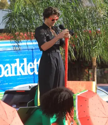 Harry Styles Wearing Blue and Pink Nail Polish