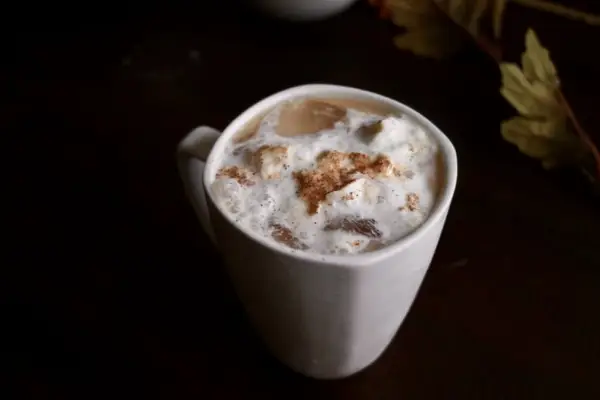 One homemade pumpkin spice latte in a white mug with cinnamon sprinkled on top.