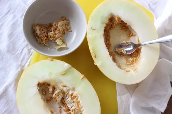 Scoop Out Melon and Squash Seeds