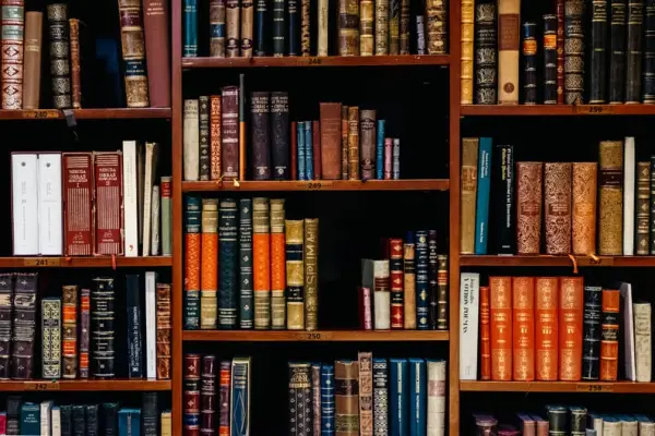 Free Zoom Backgrounds: Library Bookshelf