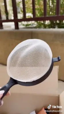 Next, She Sprayed Ducky