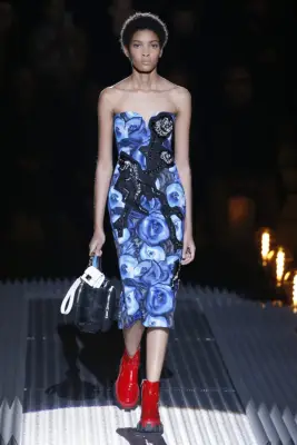 Licett Morillo Montero