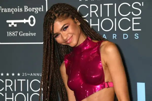 SANTA MONICA, CALIFORNIA - JANUARY 12: Zendaya attends the 25th Annual Critics