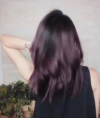 Preuve que « aubergine » est la tendance en matière de couleur de cheveux qui semble sexy à tout le monde