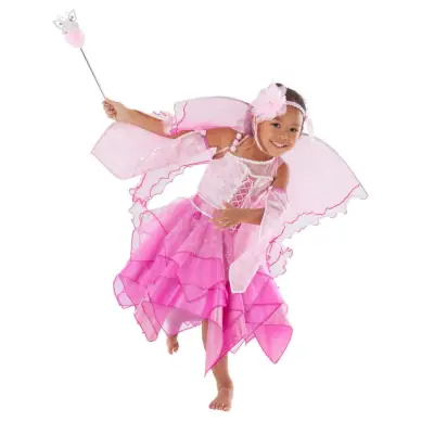 Fairy Costume