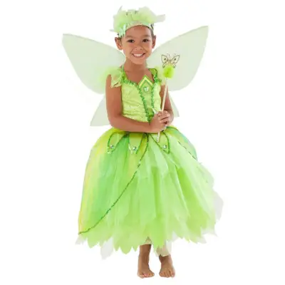 Butterfly Princess Costume