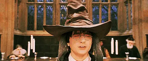 Harry Should Have Been Slytherin.