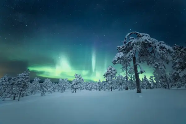 Holiday Zoom Background: Northern Lights Winter