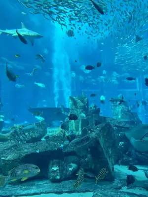 The Lost Chambers Aquarium at Atlantis, The Palm