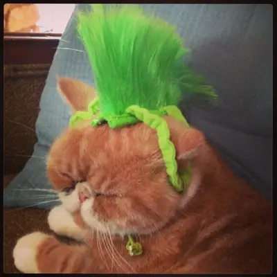 The Kingston Rossdale