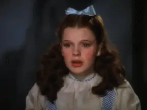 Shameful Ground Beef