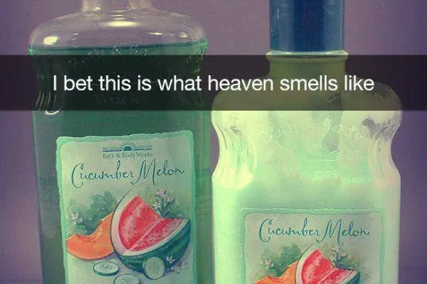 Cucumber Melon = Life