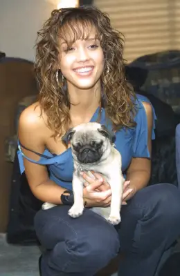 Jessica Alba With Scrunched Hair in 2002