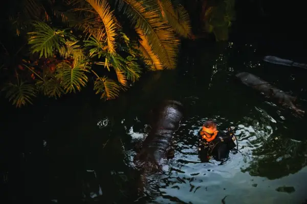 Underwater Attraction Machinist