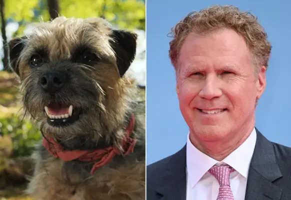 Will Ferrell as Reggie