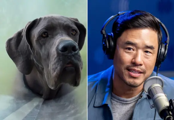 Randall Park as Hunter