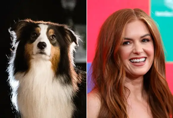 Isla Fisher as Maggie