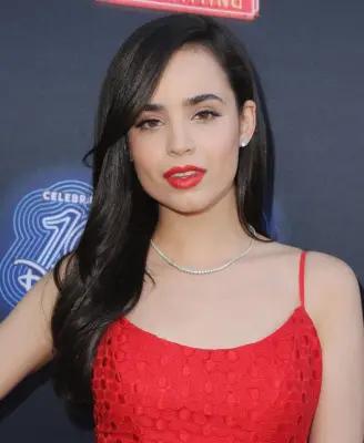 Sofia Carson as Evie