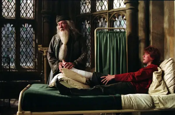 Best Dumbledore Quotes