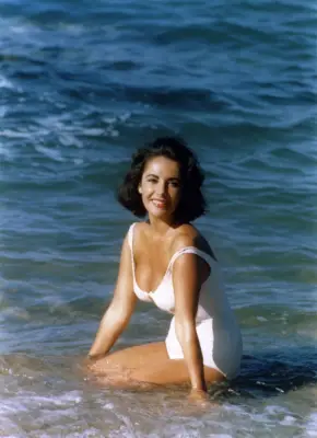 Elizabeth Taylor