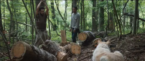 IT COMES AT NIGHT, l-r: Joel Edgerton, Kelvin Harrison Jr., 2017. A24/courtesy Everett Collection