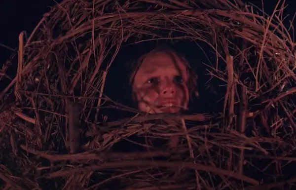 Foreign Horror Movies on Netflix: 