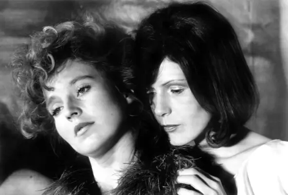 The Bitter Tears of Petra von Kant