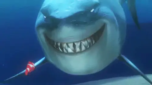 When the Shark Shows Up