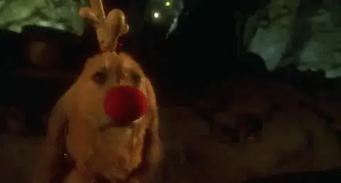 He prefers to have a dog as a companion, which is pretty relatable.